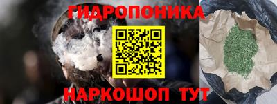 скорость Бийск