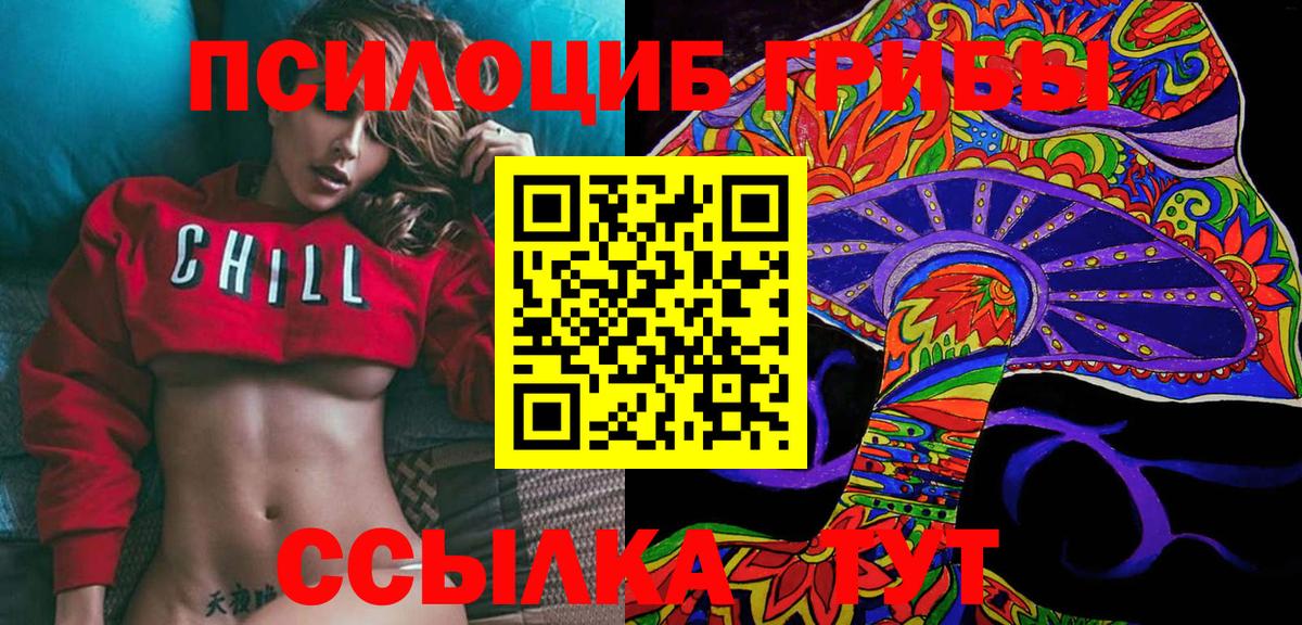 Канаш  сколько стоит  Псилоцибиновые грибы Psilocybe  Вход с VPN  Псилоцибиновые грибы ЛСД 